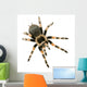 Brachypelma Smithi Front White Wall Decal