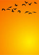 Backgroundsunrisebirds