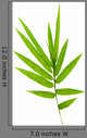 Bamboo leaves Wall Decal