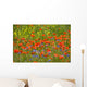 Shining red poppies with bluebottles and canola Wall Mural