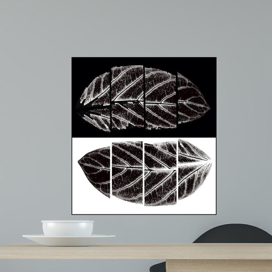 Black and White Wall Mural