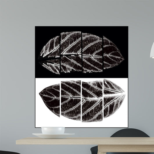 Black and White Wall Mural
