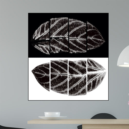 Black and White Wall Mural