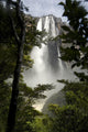 Angel Falls Canaima National Wall Mural