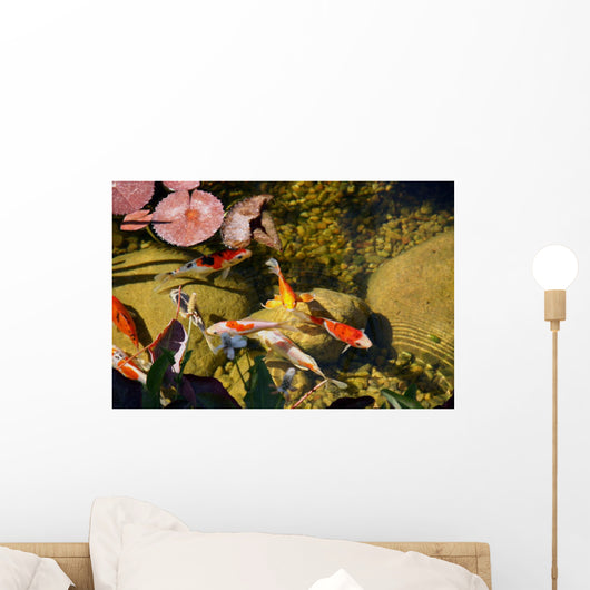 Koi Wall Mural