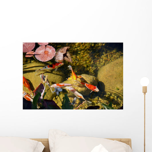 Koi Wall Mural