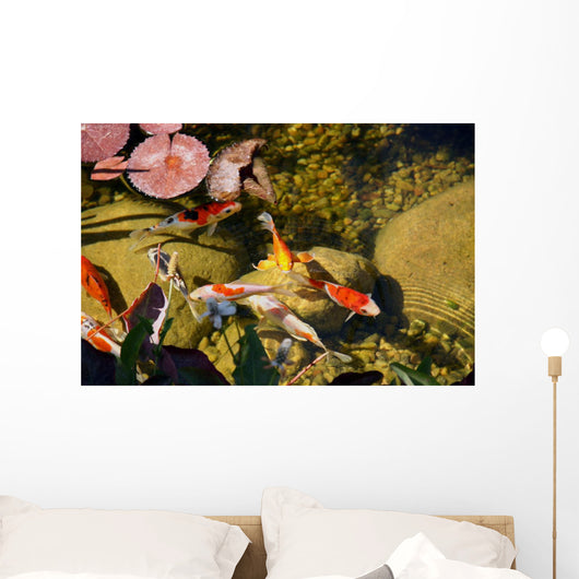 Koi Wall Mural