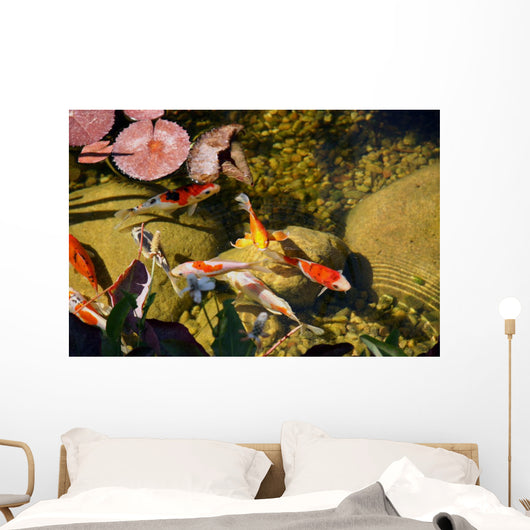 Koi Wall Mural