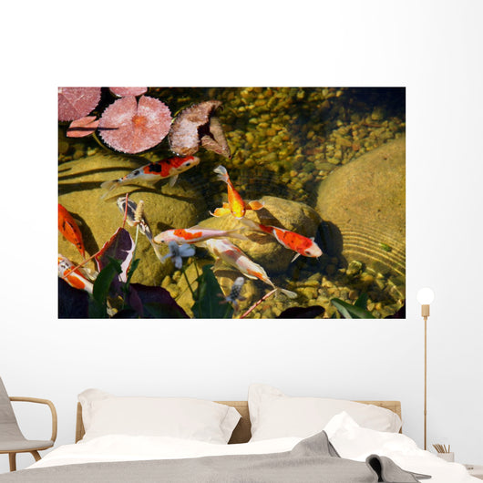 Koi Wall Mural