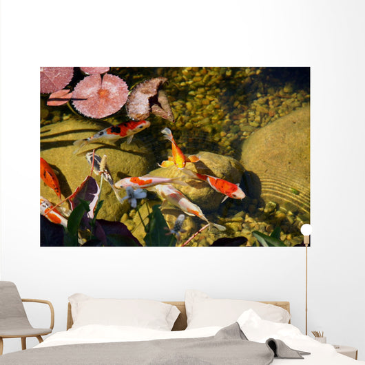 Koi Wall Mural