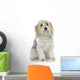 Dog Front White Wall Mural