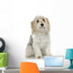 Dog Front White Wall Mural