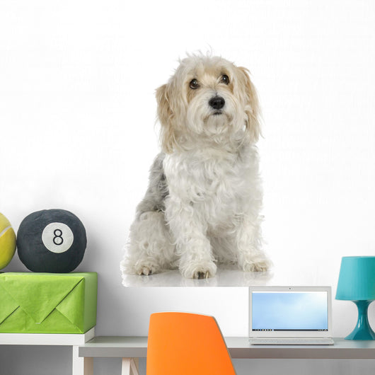 Dog Front White Wall Mural