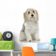 Dog Front White Wall Mural