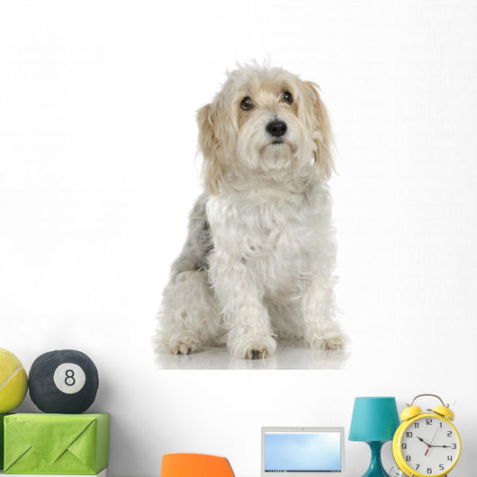 Dog Front White Wall Mural