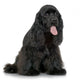 Cocker Spaniel Breed in front of a white background Wall Decal
