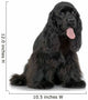 Cocker Spaniel Breed in front of a white background Wall Decal