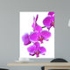 Ramo Di Orchidee Rosa Wall Decal