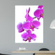 Ramo Di Orchidee Rosa Wall Decal