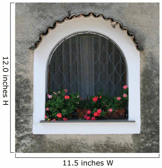Window