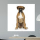 Puppy Boxer Front White Wall Decal