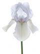 Iris Wall Decal