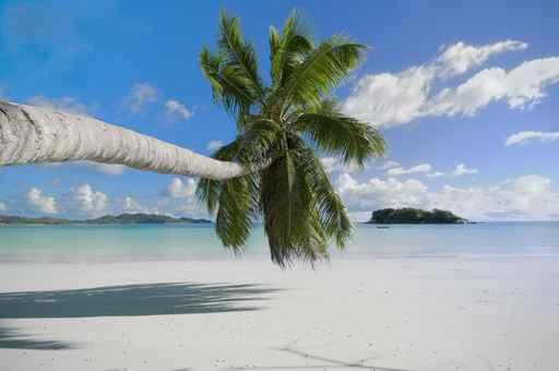 Pristine Beach Praslin Tropical Wall Decal