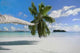 Pristine Beach Praslin Tropical Wall Decal
