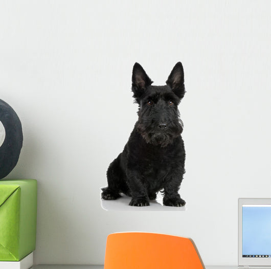 Scottish Terrier Wall Decal