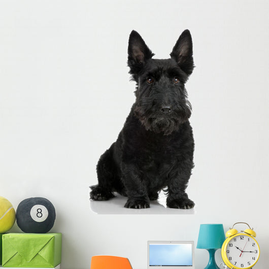 Scottish Terrier Wall Decal