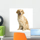 Labrador Retriever Cream Front Wall Decal