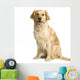 Labrador Retriever Cream Front Wall Decal