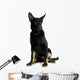 Juvenile German Shepherd Wall Decal