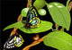 Vector Butterflies Wall Mural