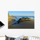 Laguna Beach California Wall Mural