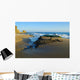 Laguna Beach California Wall Mural