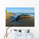 Laguna Beach California Wall Mural