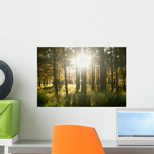 Forest Wall Mural