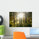 Forest Wall Mural