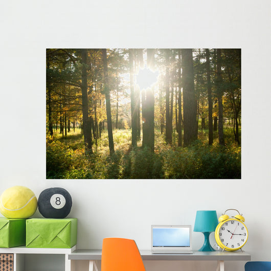 Forest Wall Mural