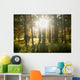 Forest Wall Mural