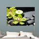 Burning Candle and Zen Stones Wall Mural