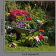 Wheelbarrow and Trays with