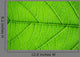 Structure Living Leaf Visible
