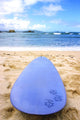 Hawaiian Surfboard