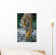 Malayan Tiger Wall Decal