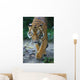 Malayan Tiger Wall Decal