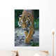 Malayan Tiger Wall Decal