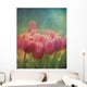 Grungy Tulips