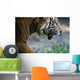 Malayan Tiger Wall Mural